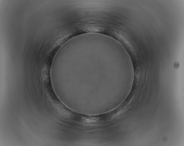 X0000090900359200707301418