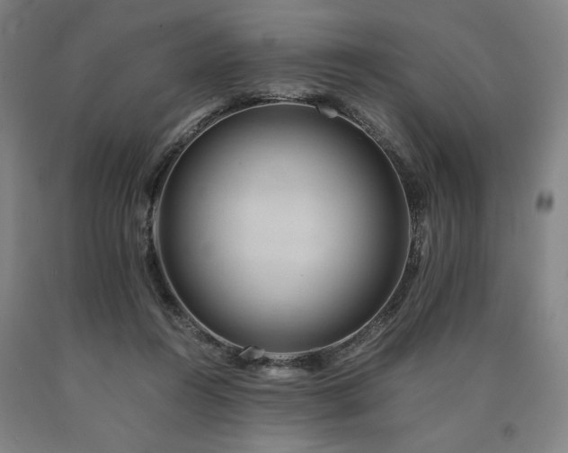 X0000090900360200707301418
