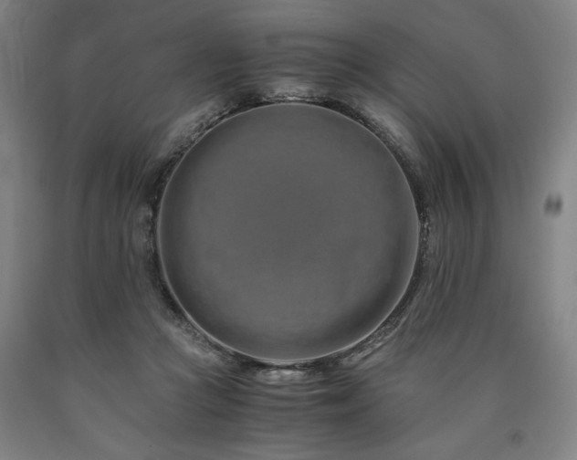 X0000090900361200707301418