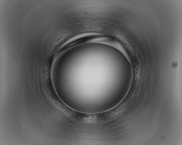 X0000090900362200707301418