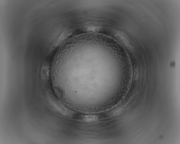 X0000090900363200707301418