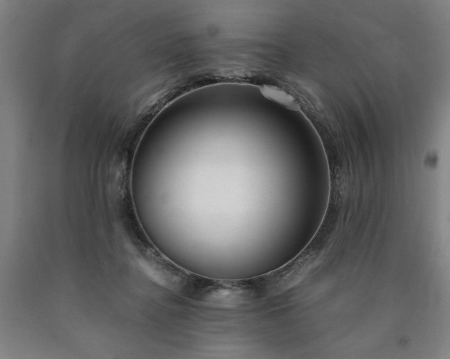 X0000090900364200707301418