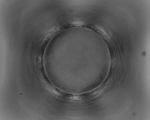 X0000090900365200707301418