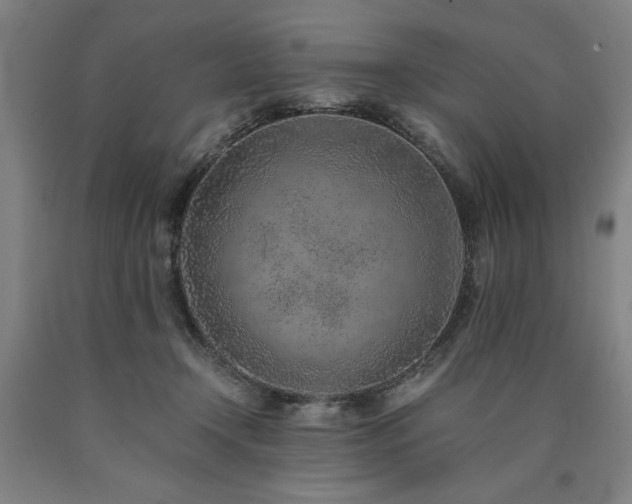 X0000090900366200707301418