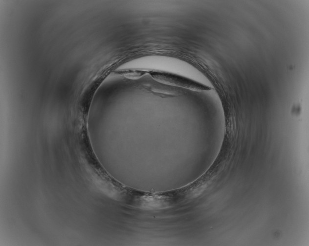 X0000090900367200707301418