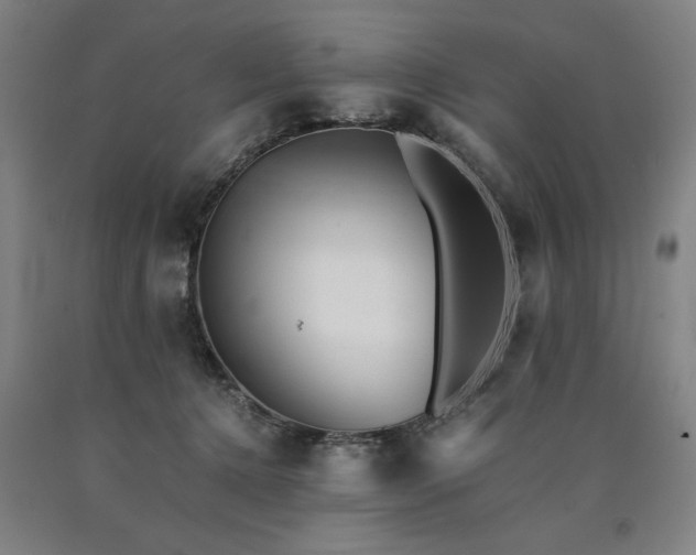 X0000090900368200707301418