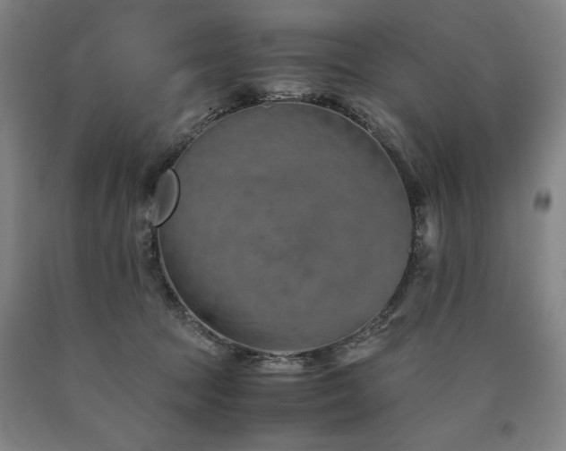 X0000090900369200707301418