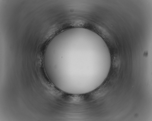 X0000090900370200707301418