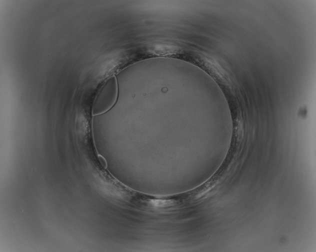 X0000090900371200707301418