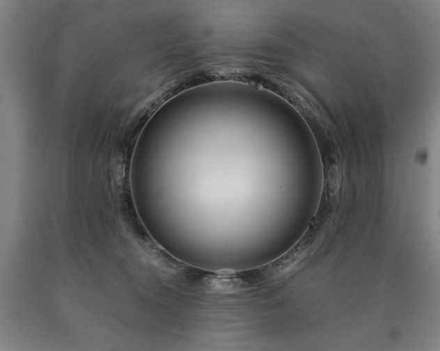 X0000090900372200707301418