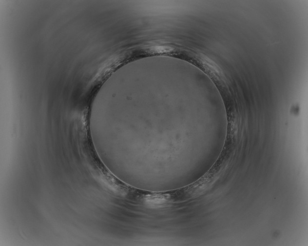 X0000090900373200707301418