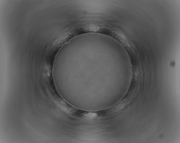 X0000090900374200707301418