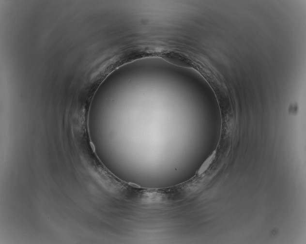 X0000090900376200707301418