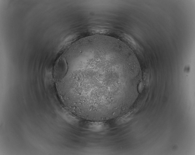 X0000090900377200707301418