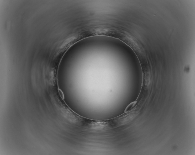 X0000090900378200707301418