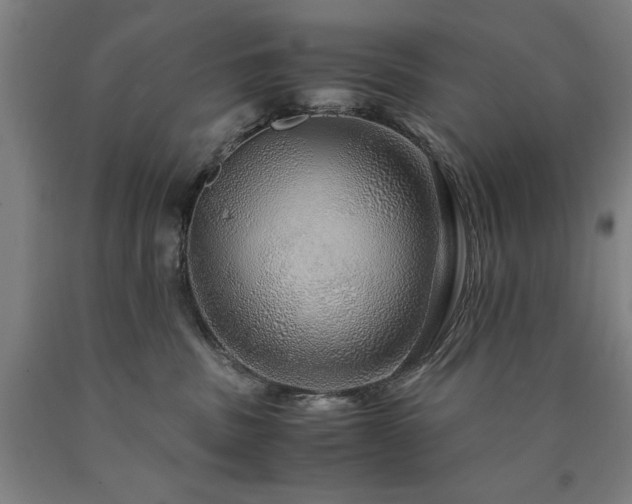 X0000090900379200707301418