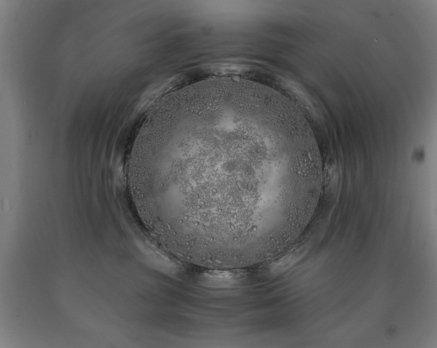 X0000090900381200707301418