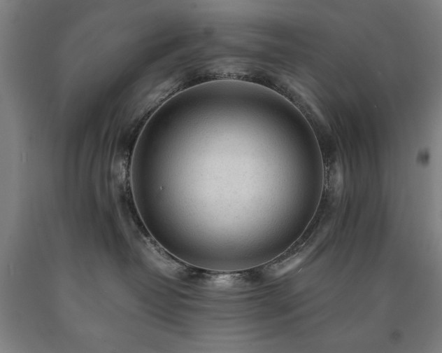 X0000090900382200707301418