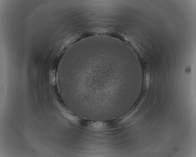 X0000090900383200707301418