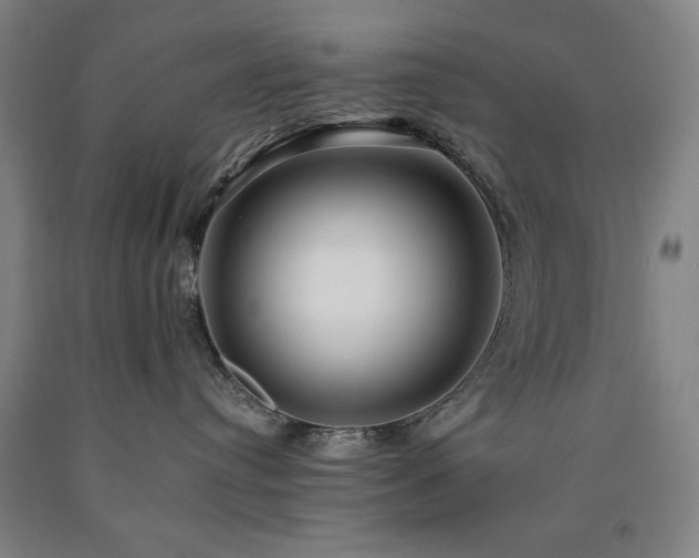 X0000090900384200707301418
