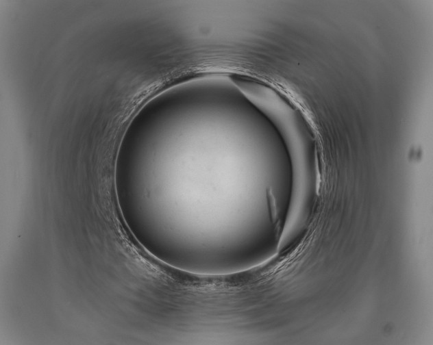 X0000090900385200707301417