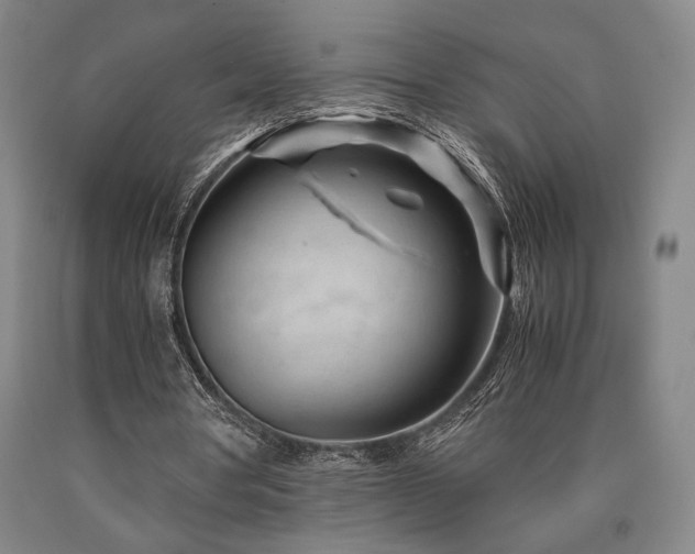 X0000090900386200707301417