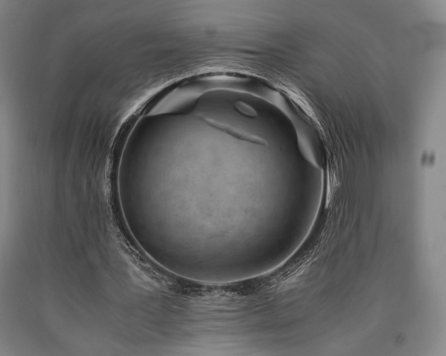 X0000090900387200707301417