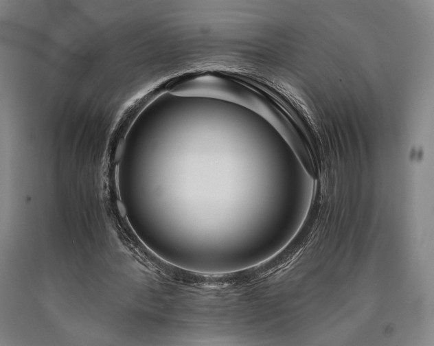 X0000090900388200707301417