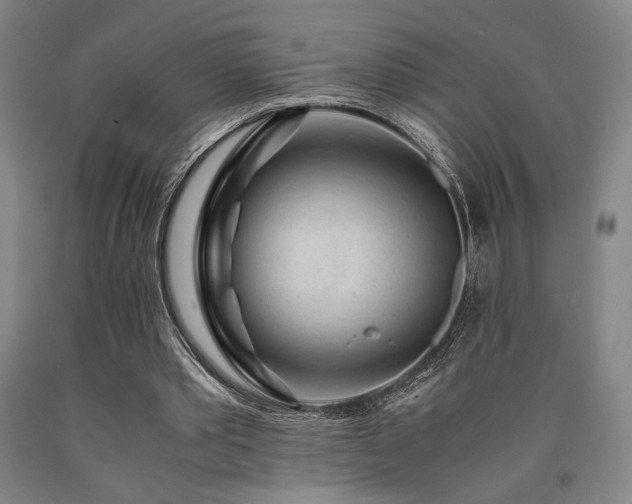 X0000090900389200707301417