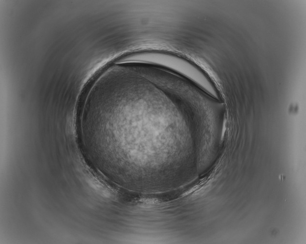 X0000090900391200707301417