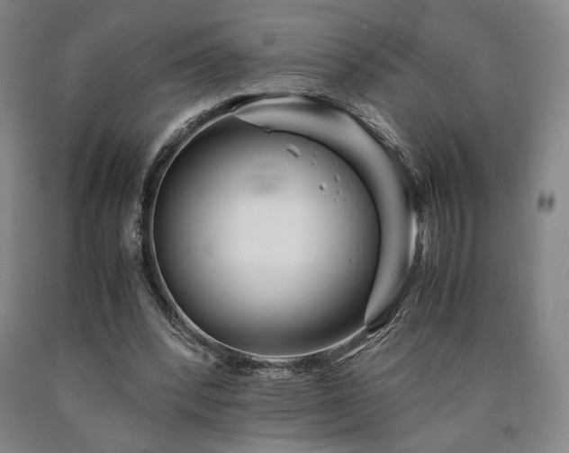 X0000090900392200707301417