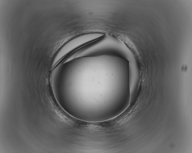 X0000090900393200707301417