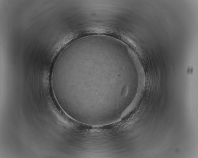X0000090900394200707301417