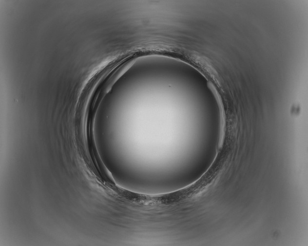 X0000090900395200707301417