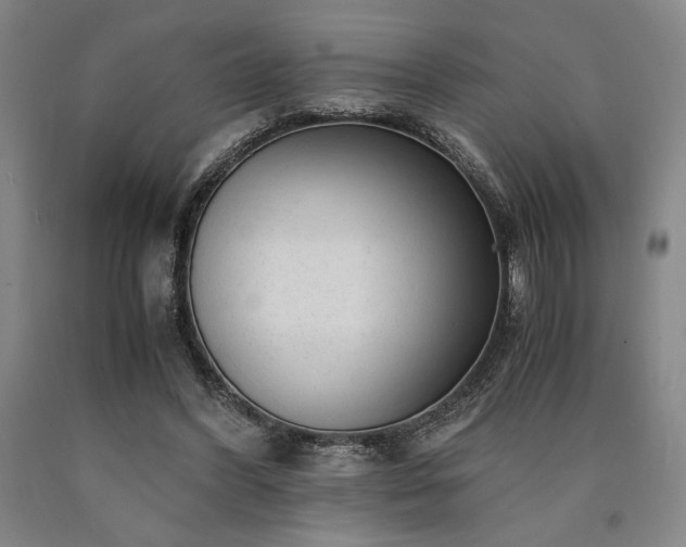 X0000090900396200707301417