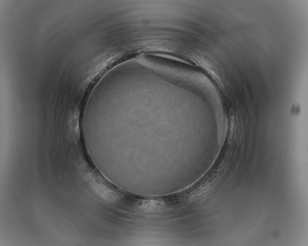 X0000090900398200707301417