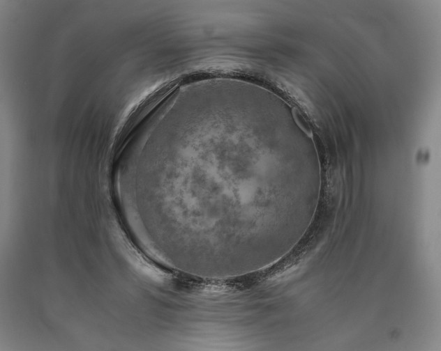 X0000090900399200707301417