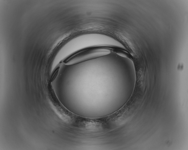 X0000090900400200707301417