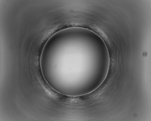 X0000090900401200707301417