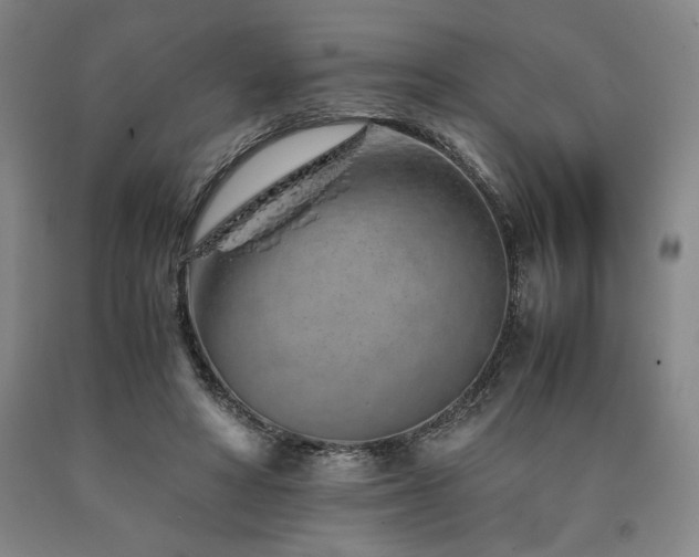 X0000090900402200707301417