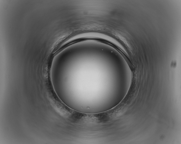 X0000090900403200707301417