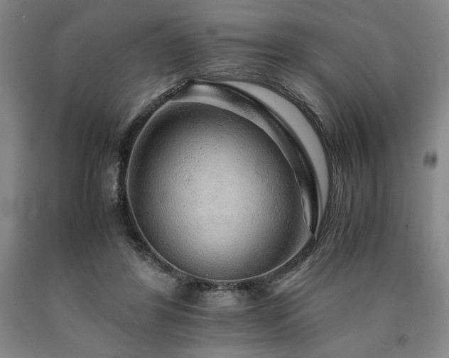 X0000090900404200707301417