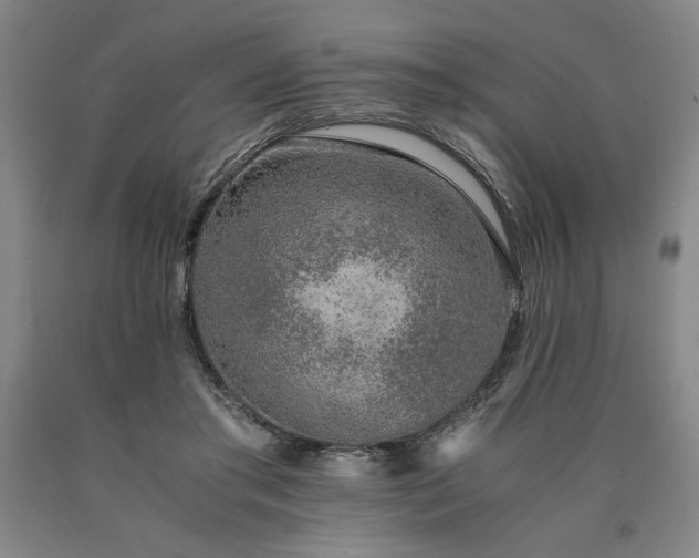 X0000090900405200707301417