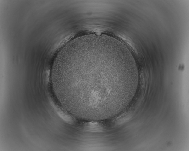 X0000090900406200707301417