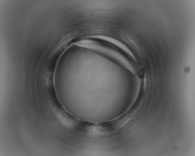 X0000090900408200707301417
