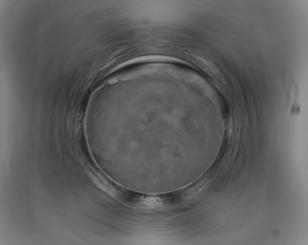 X0000090900409200707301417