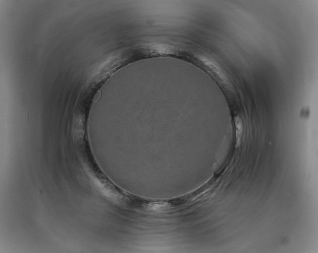 X0000090900410200707301417