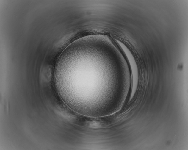 X0000090900412200707301417