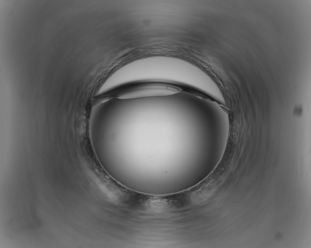 X0000090900413200707301417