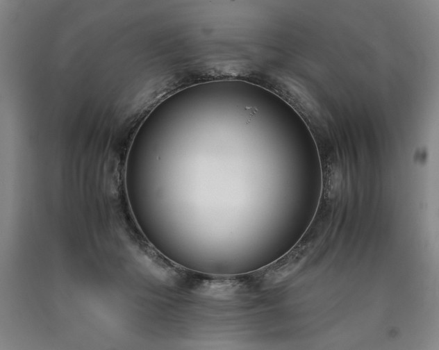 X0000090900414200707301417